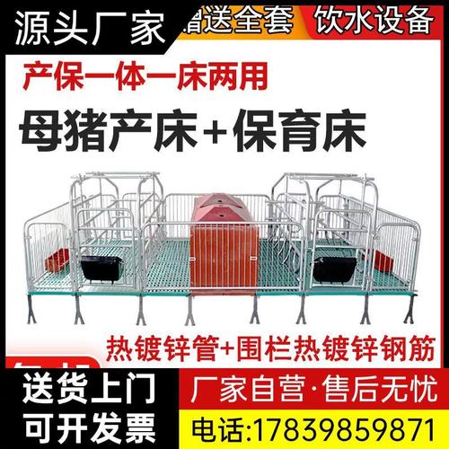 母猪产床与保育床产保两用一体 现代养猪厂的高效分娩与保育解决方案