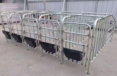 大师兄保育床 复合母猪产床与现代化养猪设备全解析